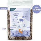 Studio Proud - hondenvoer graanvrij  - Lam honden droogvoer - 10 kg - krokante hondenbrokken - Everyday Proud - Lucious Lamb - Crunchy
