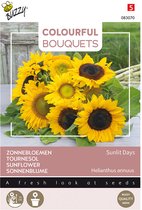 Buzzy bloemzaad -  Zonnebloemen Sunlit Days  | Colorful Bouquets