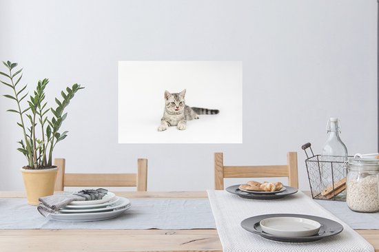 Sticker Muursticker Chats - Chaton fond blanc - 60x40 cm - film autocollant - sticker mural repositionnable