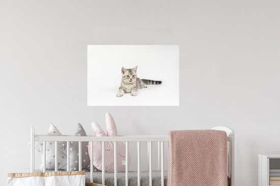 Sticker Muursticker Chats - Chaton fond blanc - 60x40 cm - film autocollant - sticker mural repositionnable