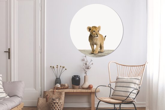 Papier peint Circle - Animaux - Lion - Cub - ⌀ 120 cm - Wall Circle XXL