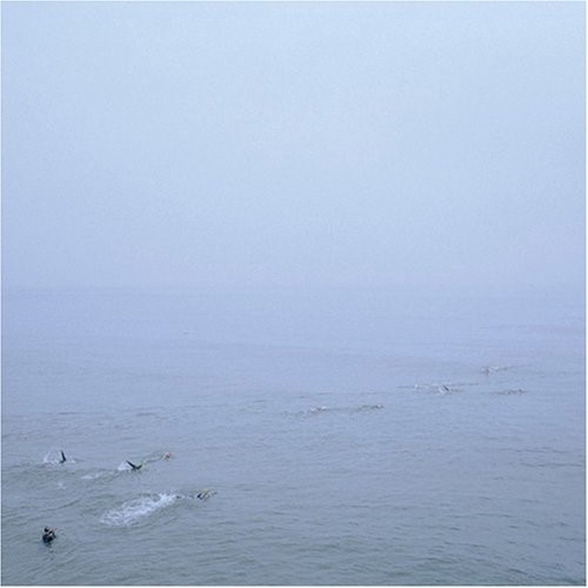 Growing - The Sky's Run Into The Sea (CD)