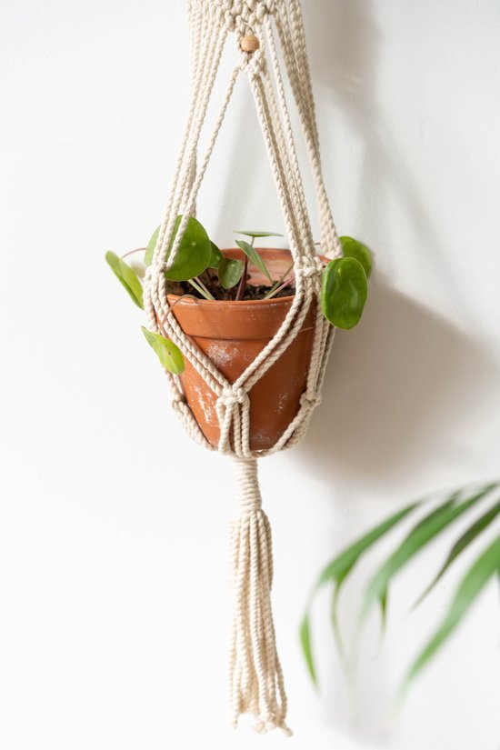 Sankalpa® Macrame Plantenhanger - Hangpot - Bohemian Decoratie - Luxe  gevlochten touw... | bol.com