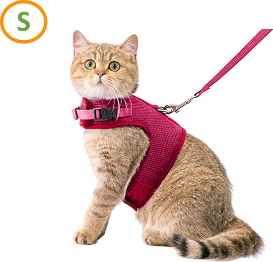 Kattentuigje met Leiband Riem Kattenharnas Rood Maat S Kat & Kitten - Dieren Kattenriem - Cat Leash - Halsomvang 15 tot 20cm - Borstomvang 25 tot 30cm - Zootic®
