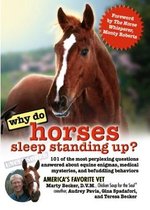 Why Do Horses Sleep Standing Up?