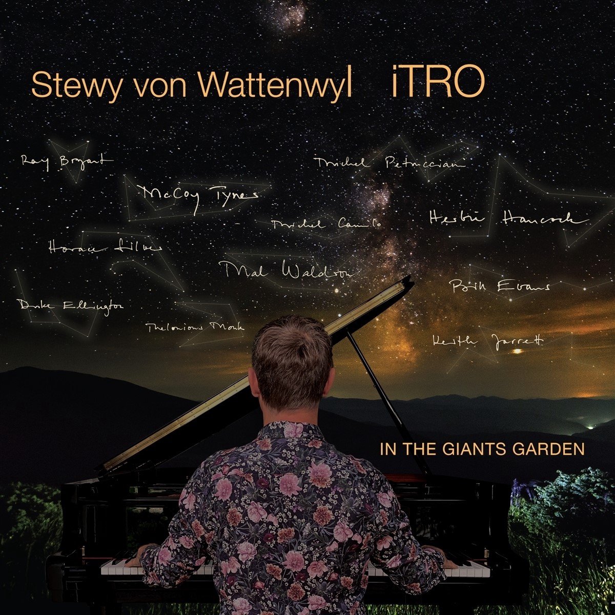 Stewy Von Wattenwyl Trio - In The Giants Garden (CD)