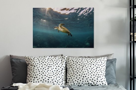 Tortue en eau claire sur toile 80x60 cm - Tirage photo sur toile (Décoration murale salon / chambre) / Peintures sur toile Animaux