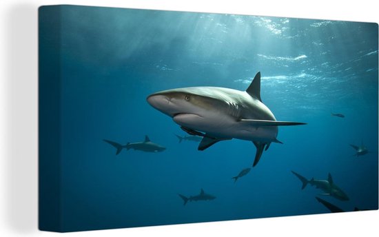 Canvas Schilderij Groep haaien - 40x20 cm - Wanddecoratie