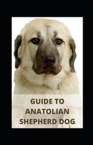 Guide to Anatolian Shepherd Dog