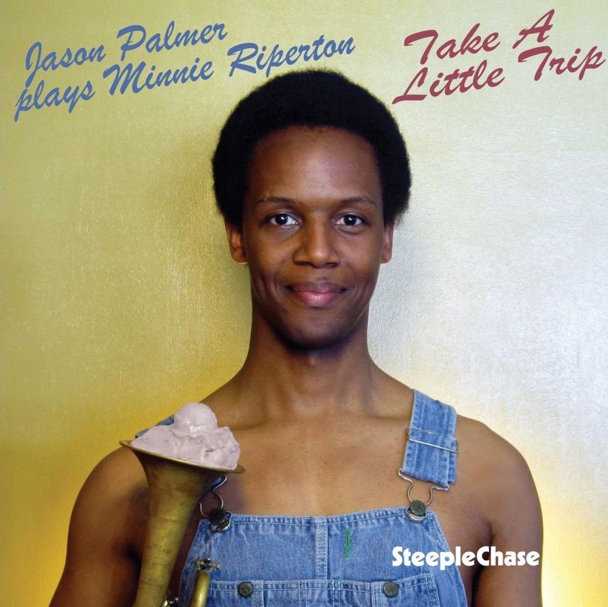 Jason Palmer - Take A Little Trip. Palmer Plays Minnie Riperton (CD)