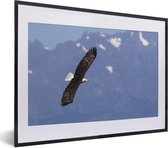 Aigle pour les montagnes
