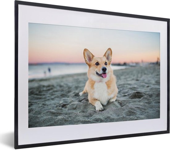 Chien sur la plage