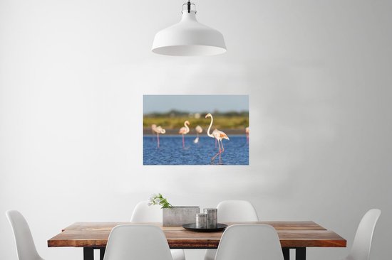Poster Groupe de flamants roses 90x60 cm - Tirage photo sur Poster (décoration murale salon / chambre) / Poster Animaux