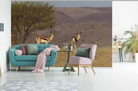 Papier peint vinyle - Deux gazelles face à la plaine africaine largeur 330 cm x hauteur 220 cm - Tirage photo sur papier peint (disponible en 7 tailles)