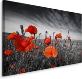 Schilderij - Rode Klaprozen, zwart-wit/rood, 4 maten, premium print