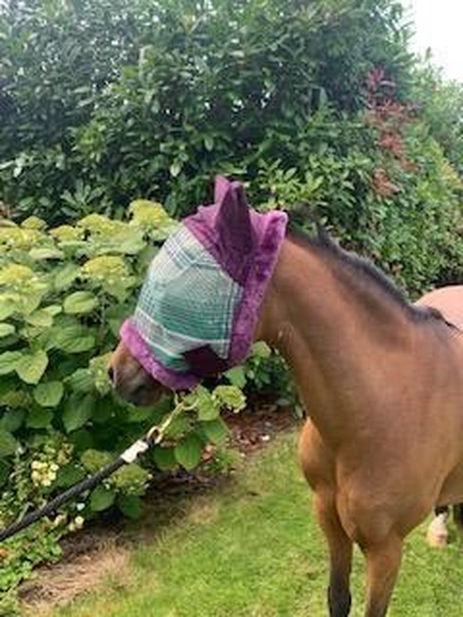 Kensington Vliegenmasker met oren Deluxe Imperial Jade pony