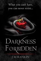 Dark Intentions 1 - Darkness Forbidden