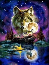 Mona Lisa Diamond painting set wolf met maan 40x30 full size