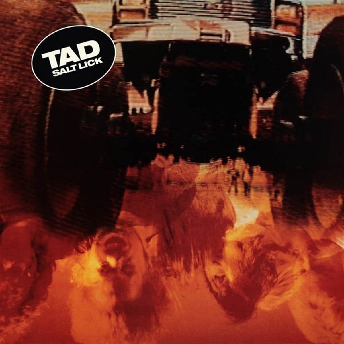 Tad - Salt Lick (LP) (Deluxe Edition)