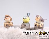 Farmwood Animals Tuinbeeld Vogel met geluid 9x6x10 cm (1 stuk) assorti