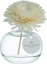 Plantes & Parfums Natuurlijke Vanille Bloem Geurstok - Interieurparfum - Fruitige Geur - 100ml