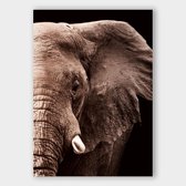 Poster Elephant - Papier - 61x91 cm - Meerdere Afmetingen & Prijzen | Wanddecoratie - Interieur - Art - Wonen - Schilderij - Kunst