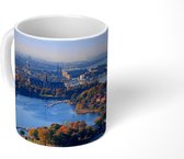 Mok - Vogelperspectief Djurgården in de herfst - 350 ML - Beker