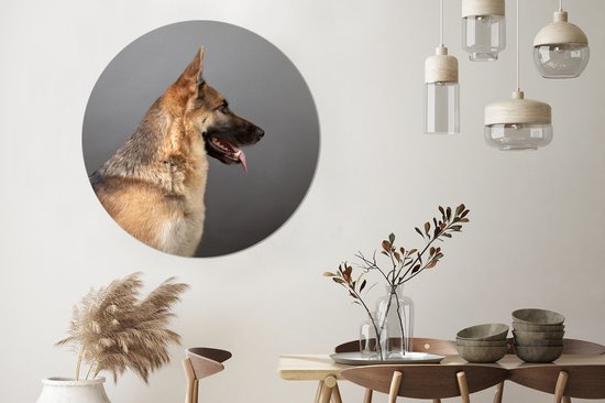 Vue latérale d'un chien de berger allemand Cercle mural aluminium ⌀ 120 cm - tirage photo sur cercle mural / cercle vivant / cercle jardin (décoration murale) XXL / Groot format!