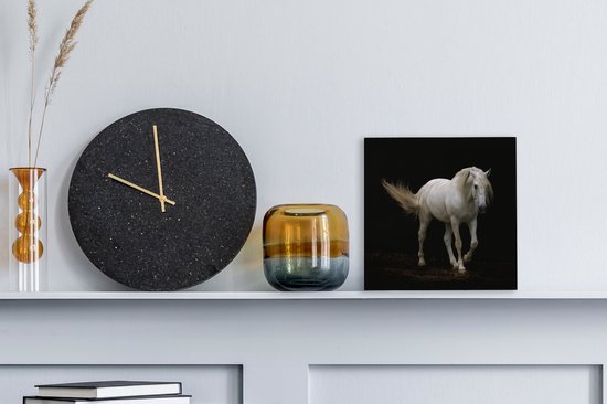Cheval Wit devant une toile de fond noir 2cm 20x20 cm - petit - Tirage photo sur Toile (Décoration murale salon / chambre) / Animaux sauvages Peintures sur toile