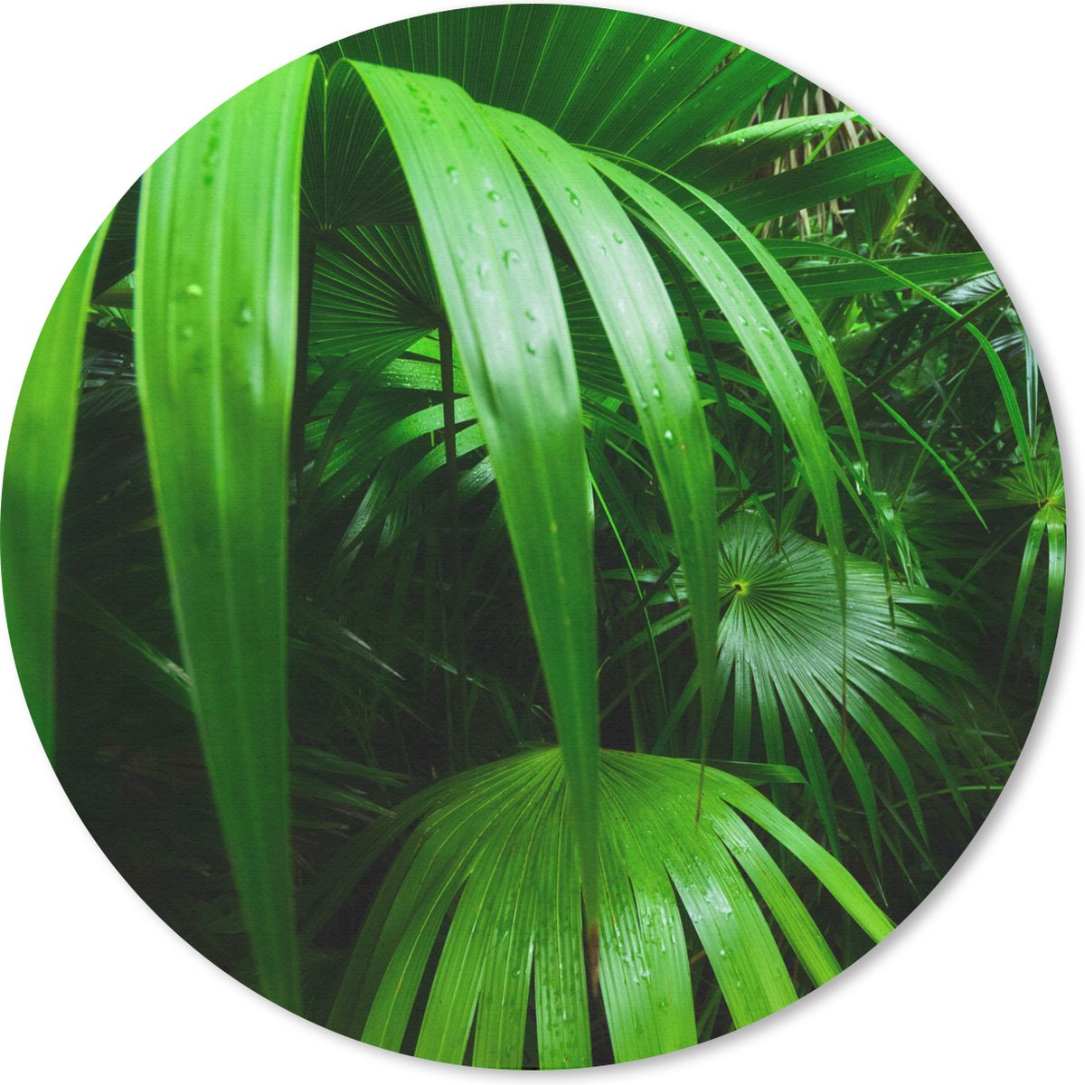 Muismat rond 40x40 cm - Mousepad Palmbladen in de jungle - Ronde muismatten