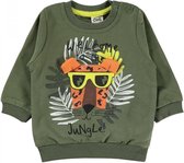 Baby/peuter sweater jongens - Jungle Babykleding