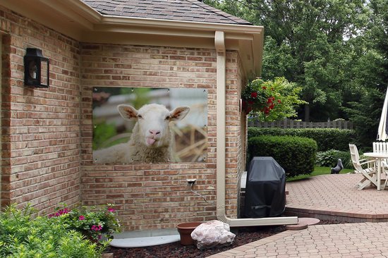 Tuinposter - Tuindoek - Tuinposters buiten - Schaap - Dieren - Wol - 120x80 cm - Tuin