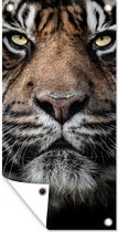 Tuinposter Portretfoto tijger op zwarte achtergrond - 40x80 cm - Wanddecoratie Buiten - Tuinposter - Tuindoek - Schuttingposter - Tuinschilderij