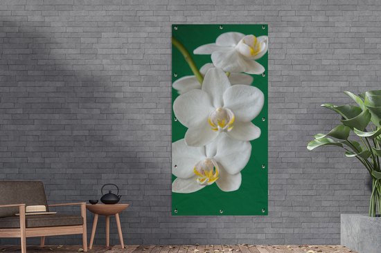 Affiche clôture Orchidée fond vert - 100x200 cm - Toile de jardin