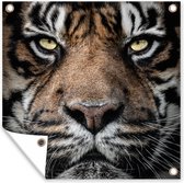 Tuinposters Portretfoto tijger op zwarte achtergrond - 50x50 cm - Tuindoek - Buitenposter
