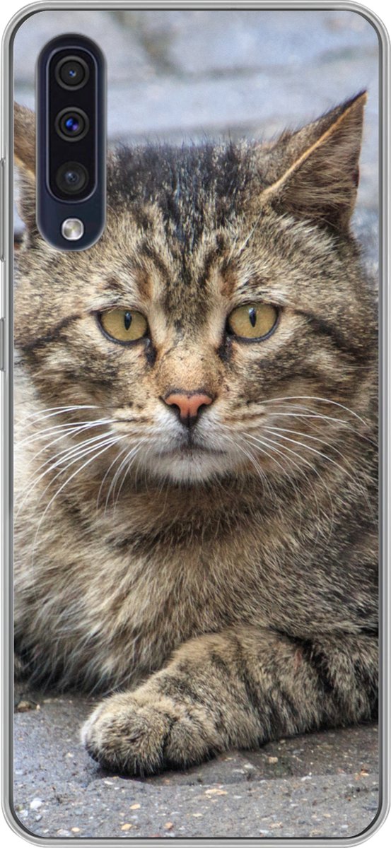 Telefoonhoesje Geschikt voor Samsung Galaxy A50 hoesje - Kat - Dier - Bruin - Meisjes - Kinderen - Jongens - Kind - Siliconen Telefoonhoesje Telefoonhoesje