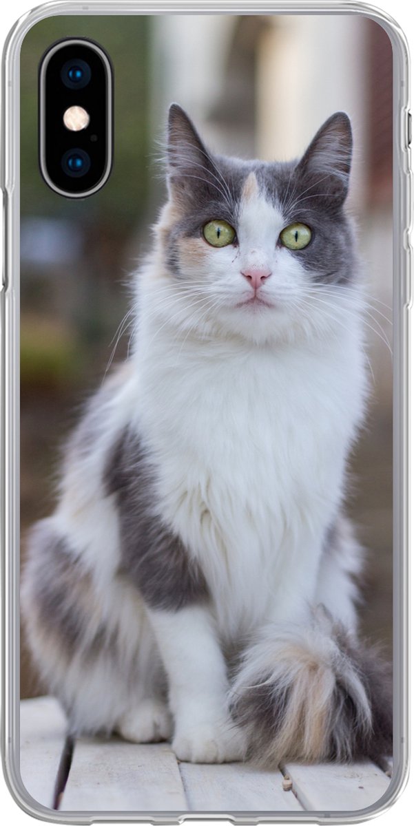 Telefoonhoesje Geschikt voor iPhone X hoesje - Kat - Portret - Tafel - Meisjes - Kinderen - Jongens - Kids - Siliconen Telefoonhoesje Telefoonhoesje