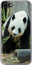 iPhone 7 hoesje - Panda - Boomstam - Grot - Siliconen Telefoonhoesje