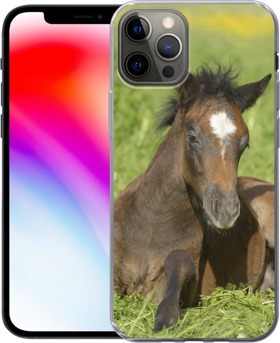 iPhone 13 Pro hoesje - Paarden - Licht - Gras - Siliconen Telefoonhoesje - SleevesAndCases