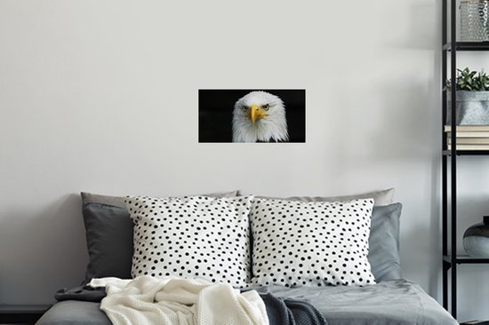 Stickers muraux - Film autocollant - Aigle - Zwart - Wit - 40x20 cm - Film adhésif - Stickers muraux Chambre d'enfant - Papier peint autocollant - Papier peint autocollant - Film autocollant