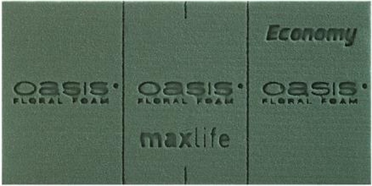Oasis steekschuim 'Economy' - 20 x 10 x 8 cm - set van 2 stuks