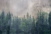 Fotobehang - Forest Abstract 375x250cm - Vliesbehang
