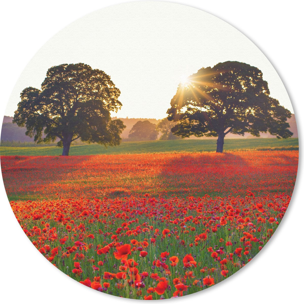 Muismat rond 20x20 cm - Mousepad Klaprozen - Bloemenveld - Zon - Ronde muismatten