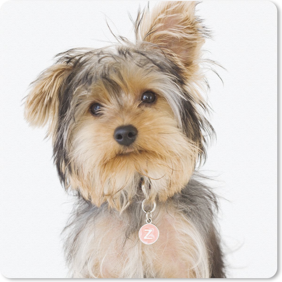 Muismat 20x20 cm - Mousepad Portret van Yorkshire terrier - Muismatten
