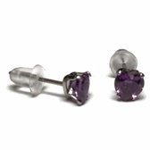 Aramat jewels ® - Zirkonia zweerknopjes hartje 5mm oorbellen paars chirurgisch staal