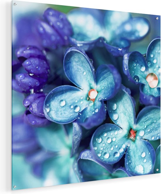 Artaza Glasschilderij - Blauwe Lila Bloemen - Seringen - 70x70 - Plexiglas Schilderij - Foto op Glas