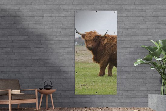 Affiche de clôture Scottish Highlander - Vache - Herbe - 100x200 cm - Toile de jardin