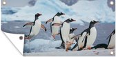 Tuinposter Pinguïns springen uit het water - 80x40 cm - Wanddecoratie Buiten - Tuinposter - Tuindoek - Schuttingposter - Tuinschilderij