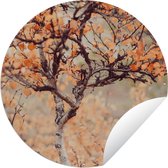 Garden Circle Automne - Branches - Feuilles - 150x150 cm - Affiche Ronde de Jardin - Extérieur