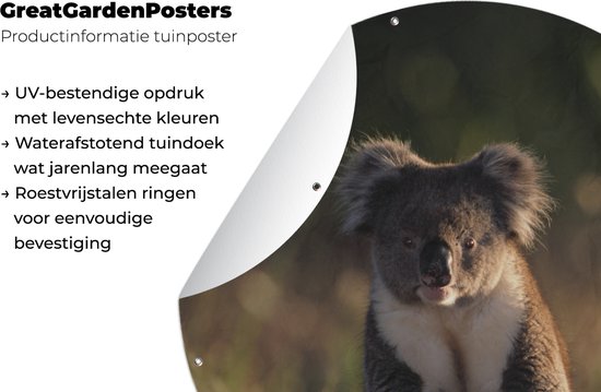 Garden Circle Koala - Soleil - Animal - Enfants - Garçons - Filles - 60x60 cm - Affiche Ronde de Jardin - Extérieur